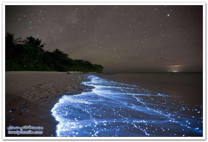 الظواهر الطبيعية الغير عادية Natural-phenomena-rarely-did-not-see-them-21