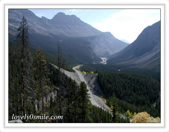 غابات الصنوبر بكندا In-canada-10