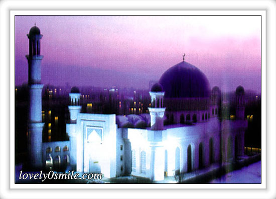 بعض صور مساجد من العالم  Mosque-06