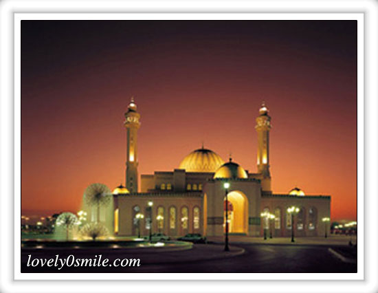بعض صور مساجد من العالم  Mosque-07