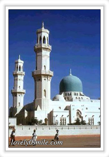 بعض صور مساجد من العالم  Mosque-08
