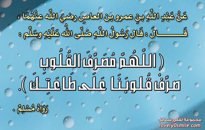 تصحيح مفاهيم خاطئة في قضية مهمة كتاب الالكتروني 059