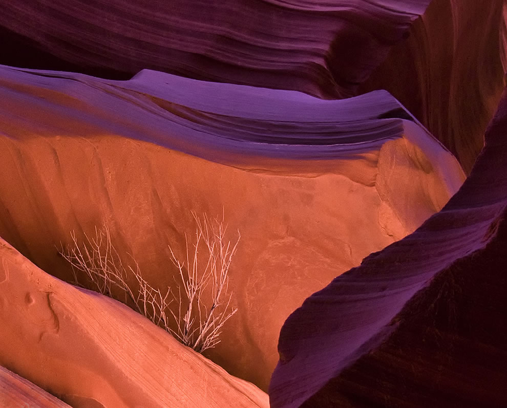 كهف الرمال  Antelope-Canyon-Weed