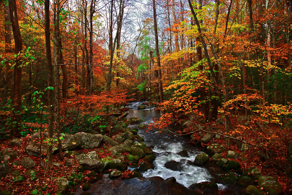 Pics of places that look like places from the films, or are just nice. [2] - Page 31 Autumn-in-Tennessee-Fall-Creek-Great-Smoky-Mountains