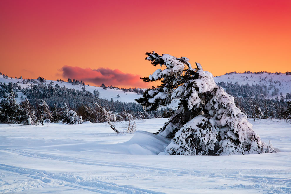  Crimea, Ukraine. Crimea-winter-landscape-on-Ai-Petri-mountain