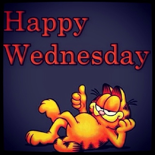 BUONGIORNO FORUM!!!!  Saluti lampo - Pagina 3 101838-Happy-Wednesday