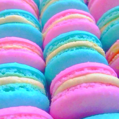 Macarons 155506-Bright-Pink-Blue-Macaroons