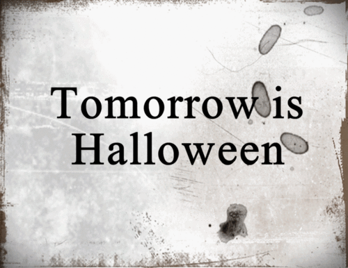 Halloween pictures - Page 7 44480-Tomorrow-Is-Halloween