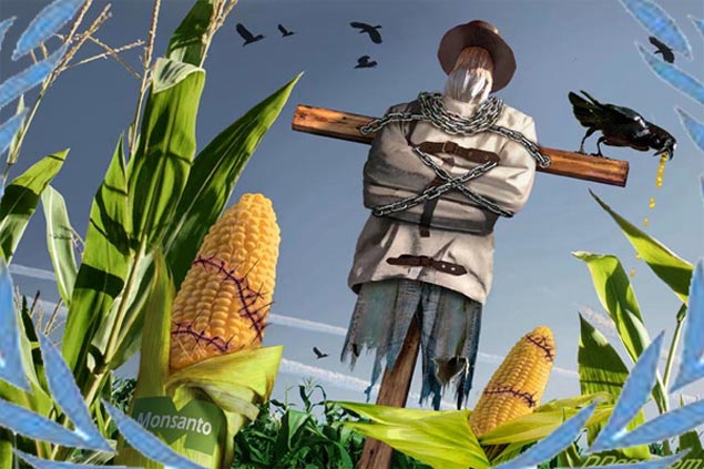 El Mundo segun Monsanto.DVDRip Xvid Mp3 Monsanto