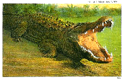 Mission Rang A : Fils de l'Entropie Alligator