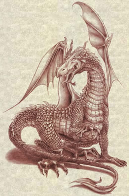 Dragones - Página 2 Dragon_europeo