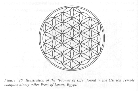 Les canaux énergétiques terrestres 2 Flower_of_life