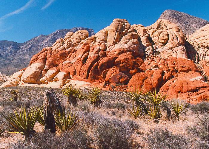 Collecte de dons pour réaliser notre rêve  Redrock1