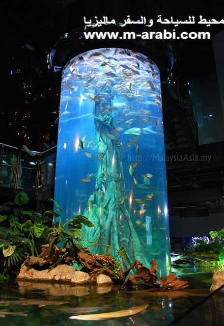 صور اكوايرا كل سي سي ماليزيا Aquaria-klcc-picture-malaysia