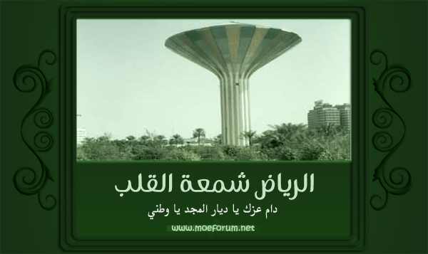  ابيات شعر عن اليوم الوطني 1431 , شعر عن اليوم الوطني 2010 , اشعار عن اليوم الوطني ال 80  091410200954geqyh8ss6ev2x