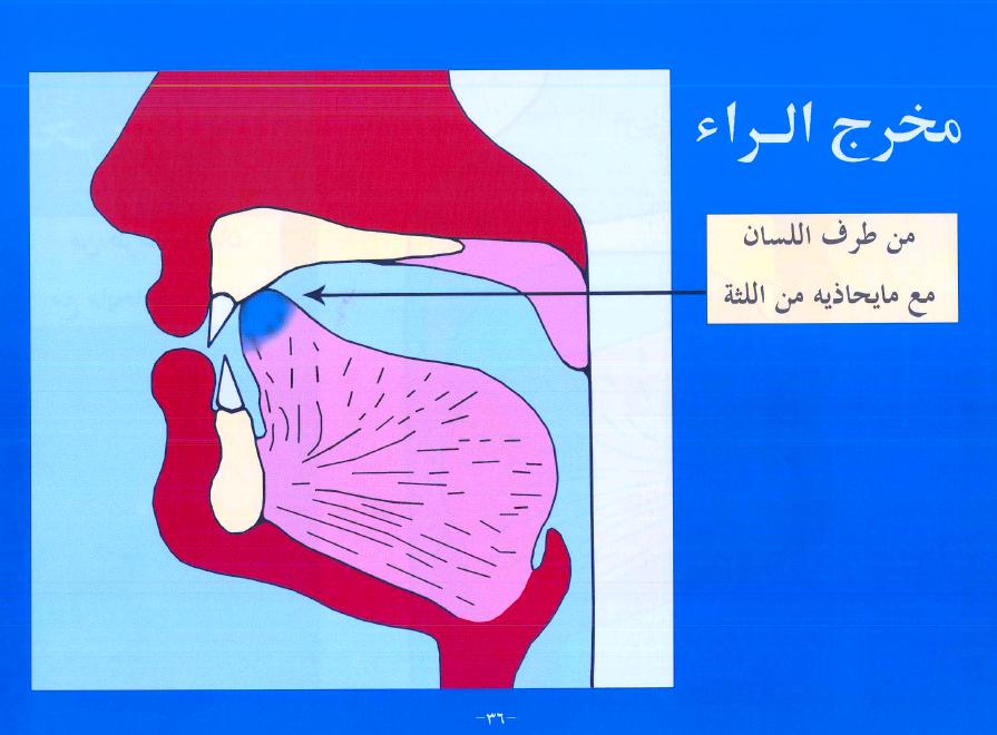 الدرس الثامن والعشرون (حرف الراء) 0510110405373f9ubqn9twb