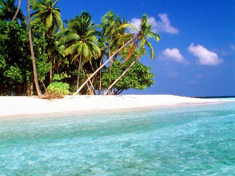 Strand und Meer _wsb_457x344_Strand_und_Meer_297