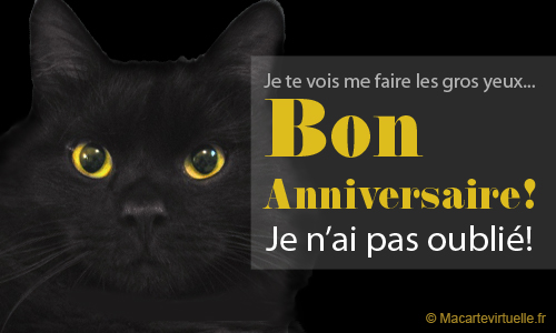 Joyeux Anniversaire Cléo 409_TkRBNStE