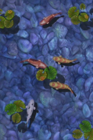 Logiciel iphone Koi_pond_02