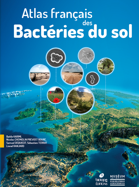 Les sols & l'Agroindustrie Atlas-bacterie-du-sol--446x600