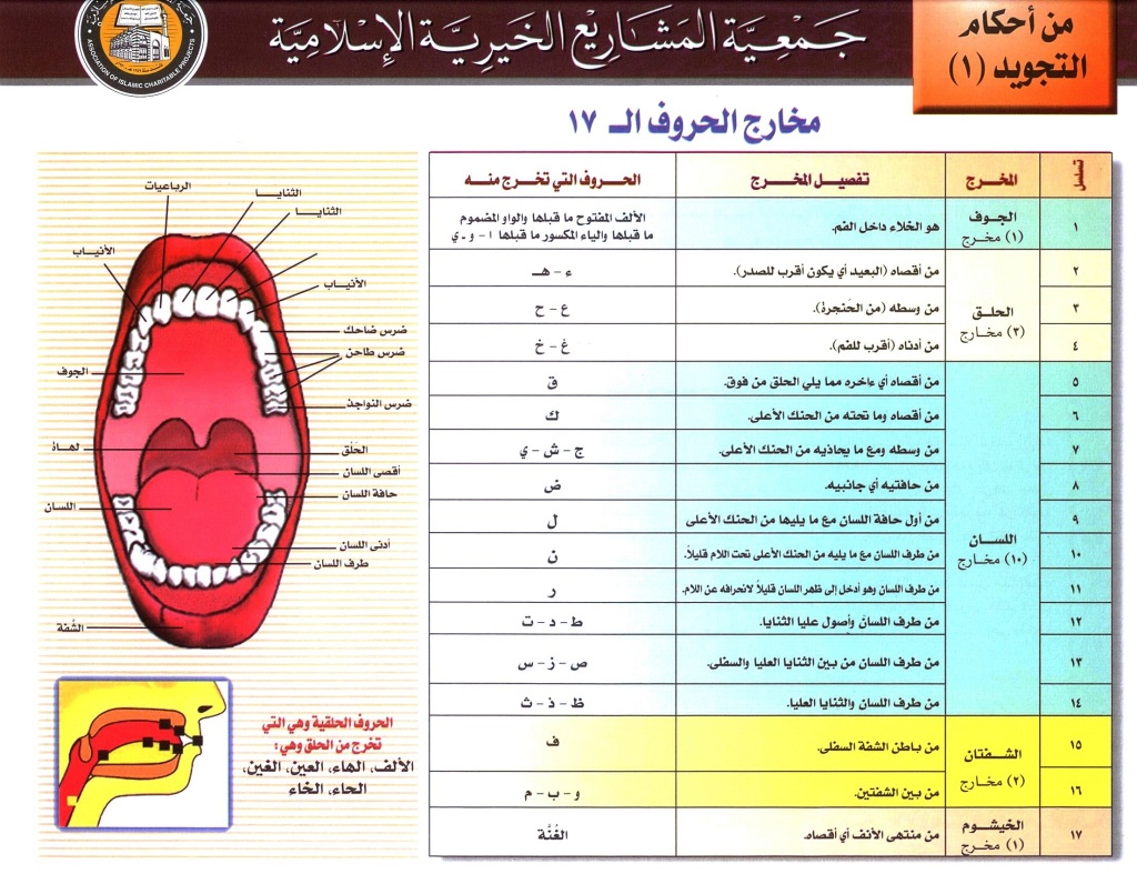 مخارج الحروف العربية 909madeena