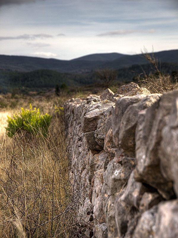 Paysages d'hiver dans les hauts-cantons de l'Hérault Paysage-mur-soleil