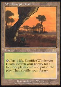 ETAPE n°2 : Les différents types de Carte Magic : Windswept_heath