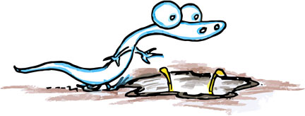 kids' story( invisible Alligator)l  Pic1b