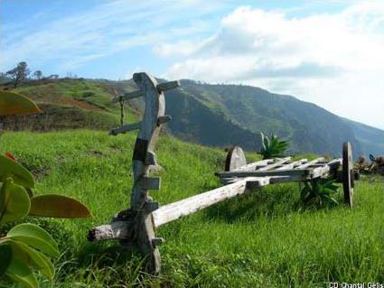 استمتعوا بجمال الطبيعة Madere_funchal_circuit_nature_et_decouverte_paysage