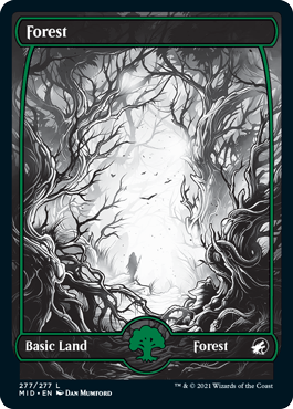 Innistrad: Midnight Hunt [HILO GENERAL] Forest-02-Innistrad-Midnight-Hunt-Spoiler