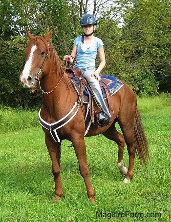 the new horses(top section wild reat captured) Sept2006JackAmie1