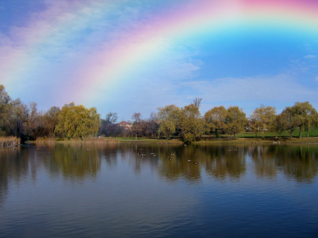 Ζητήστε ότι φωτογραφία θέλετε Rainbow-sky4