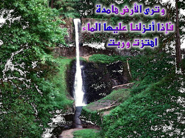 نقوشات اسلاميه 14_35926_1253038370