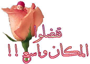 حلوه صح 3299_194504_1253342789