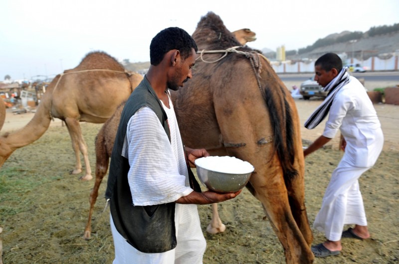 صحراء الجزائر جمال وخير ! File-attachs-31890-100-80