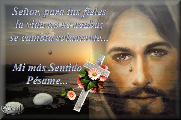 Mis mas sinceras condolencias querida amiga Kate - Página 2 Sentido_pesame_04202014