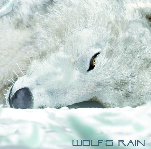 Image de wolf rain - Page 12 Wolf_s_rain