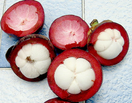 Création d'un Fruit du Démon - Page 6 Mangoustan-bio-antioxydant-naturel-puissant-superfruit-jus-acheter-phytotherapie-radicaux-libres-peau-1