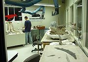  علم الأحياء القديمةpaleontology   Field_fg06