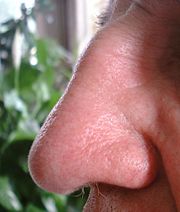 نِعـم الله ( حرف الهمزة )  Human-nose