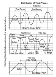 كيفية حدوث ظاهرة المد والجزر: 180px-Tide_type
