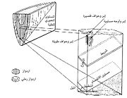 الاردواز 180px-Salte1