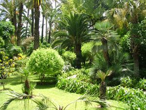 الموضوع الثاني  حديقة ماجوريل 300px-Majorelle_Garden_%282%29%2CMarrakech%2CMorocco