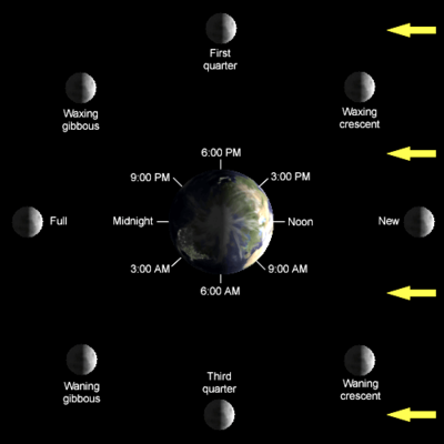 كيفية حدوث ظاهرة المد والجزر: 400px-Lunar-Phase-Diagram