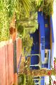 الموضوع الثاني  حديقة ماجوريل 80px-Maroc_Marrakech_Majorelle_Luc_Viatour_16