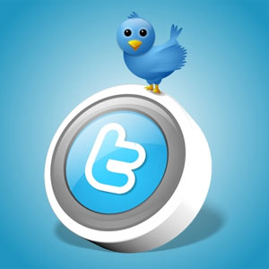 Twitter podría incluir contenidos multimedia Twitter-pajaro