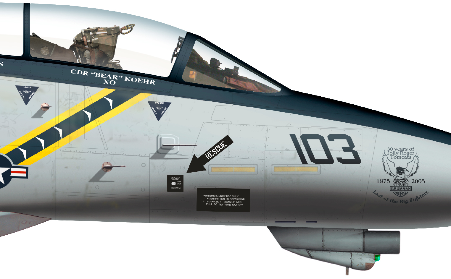 Grumman F-14 Tomcat  (caza supersónico biplaza  USA ) F-14-New.cu.27b