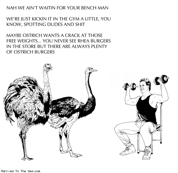 Do you even lift, bro Rhea-and-ostrich-at-the-gym