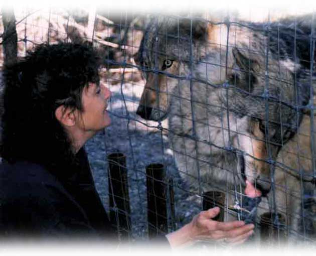 incroyable mais vrai.... animaux et homme (google images) Loups_louise