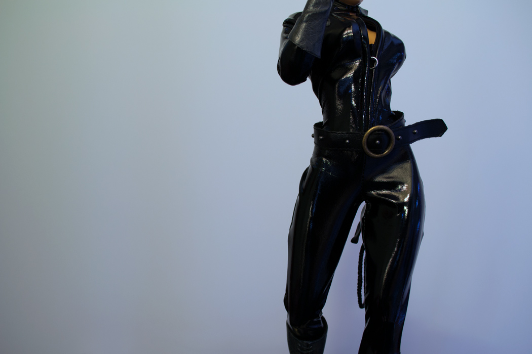 CATWOMAN 1:4 SCALE MUSEUM QUALITY Statue  - Page 4 DSC_1531